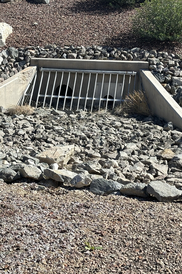 Storm drain